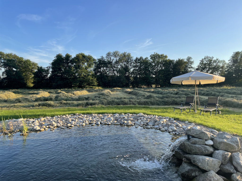 Gîte grande capacité avec bassin naturel en Auvergne