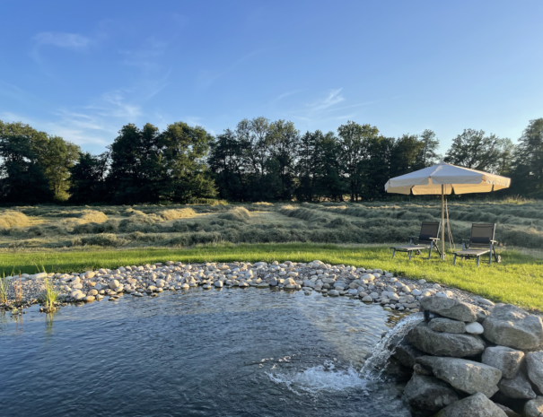 Gîte grande capacité avec bassin naturel en Auvergne